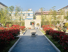公司环境